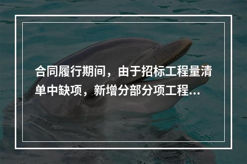 合同履行期间，由于招标工程量清单中缺项，新增分部分项工程清单