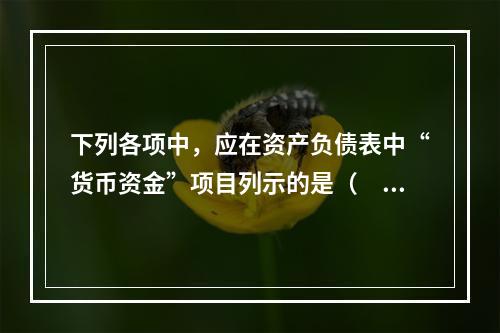 下列各项中，应在资产负债表中“货币资金”项目列示的是（　）。