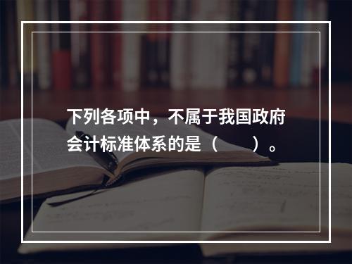 下列各项中，不属于我国政府会计标准体系的是（　　）。