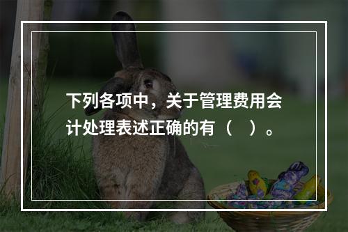 下列各项中，关于管理费用会计处理表述正确的有（　）。