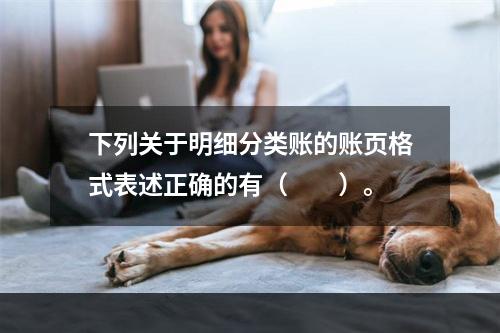 下列关于明细分类账的账页格式表述正确的有（　　）。