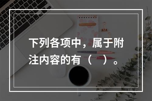 下列各项中，属于附注内容的有（　）。