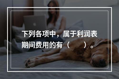 下列各项中，属于利润表期间费用的有（　　）。