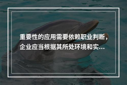 重要性的应用需要依赖职业判断，企业应当根据其所处环境和实际情