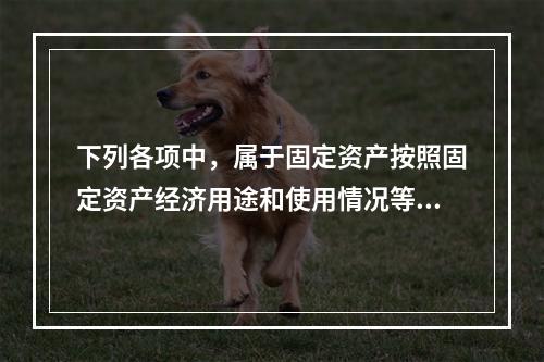 下列各项中，属于固定资产按照固定资产经济用途和使用情况等综合