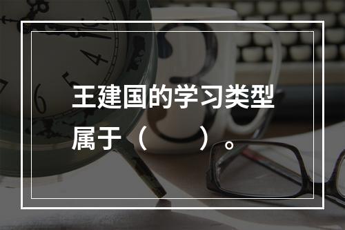 王建国的学习类型属于（　　）。