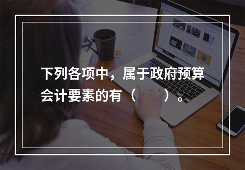 下列各项中，属于政府预算会计要素的有（　　）。