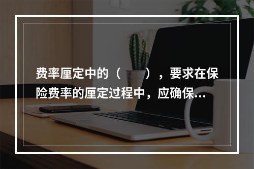 费率厘定中的（　　），要求在保险费率的厘定过程中，应确保所收