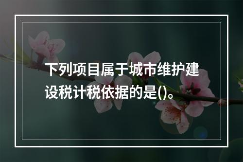 下列项目属于城市维护建设税计税依据的是()。