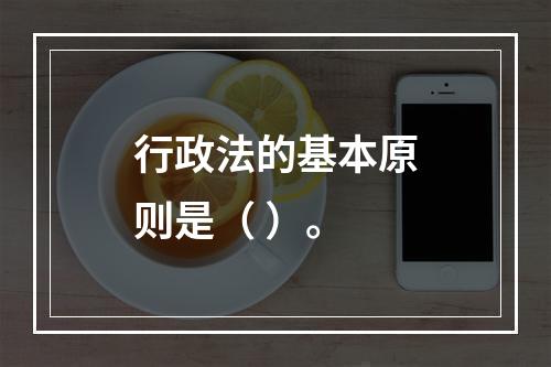 行政法的基本原则是（ ）。