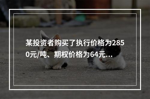 某投资者购买了执行价格为2850元/吨、期权价格为64元/吨