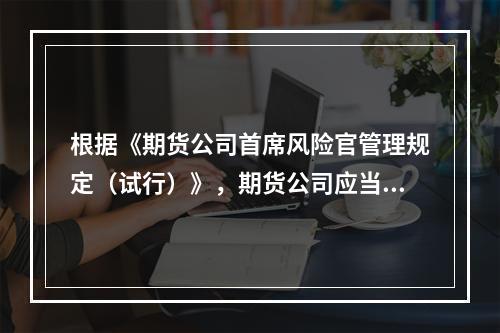 根据《期货公司首席风险官管理规定（试行）》，期货公司应当（　