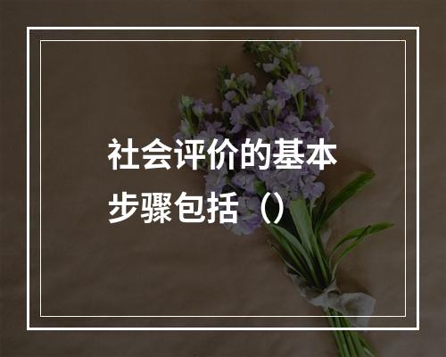 社会评价的基本步骤包括（）