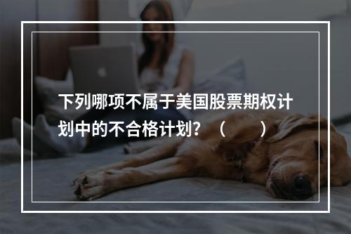 下列哪项不属于美国股票期权计划中的不合格计划？（　　）