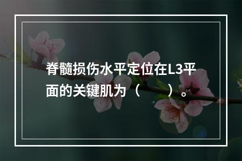 脊髓损伤水平定位在L3平面的关键肌为（　　）。