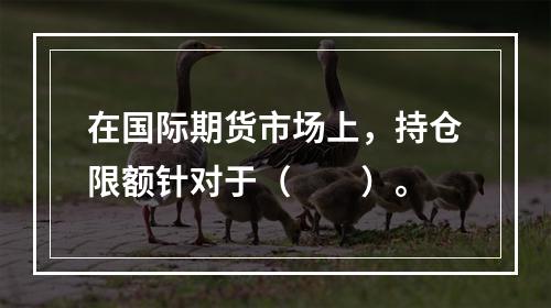 在国际期货市场上，持仓限额针对于（　　）。