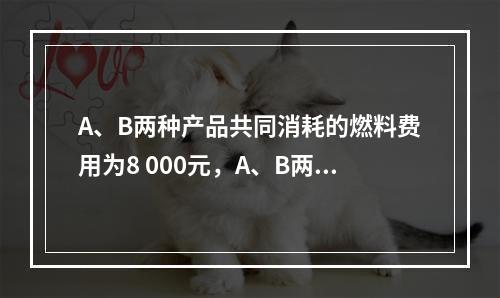 A、B两种产品共同消耗的燃料费用为8 000元，A、B两种产