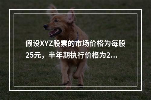 假设XYZ股票的市场价格为每股25元，半年期执行价格为25元