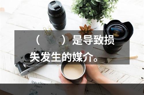 （　　）是导致损失发生的媒介。