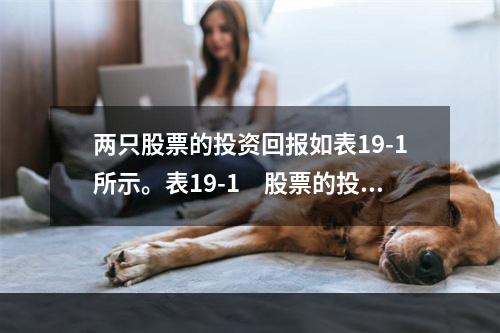 两只股票的投资回报如表19-1所示。表19-1　股票的投资回