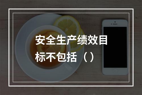 安全生产绩效目标不包括（ ）