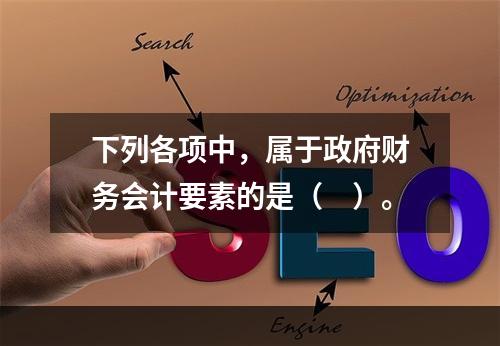 下列各项中，属于政府财务会计要素的是（　）。