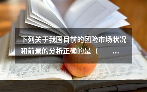 下列关于我国目前的团险市场状况和前景的分析正确的是（　　）。