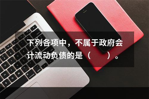 下列各项中，不属于政府会计流动负债的是（　　）。