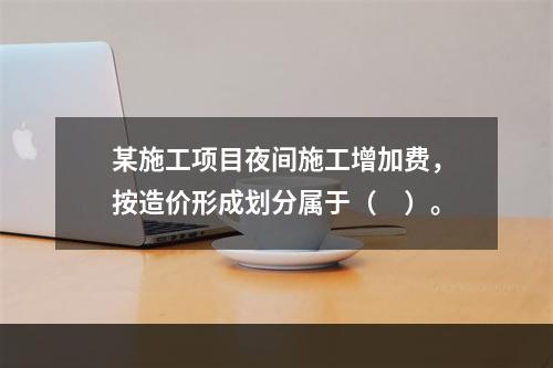 某施工项目夜间施工增加费，按造价形成划分属于（　）。