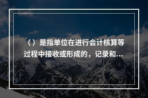 （ ）是指单位在进行会计核算等过程中接收或形成的，记录和反映