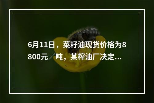 6月11日，菜籽油现货价格为8800元／吨，某榨油厂决定利用