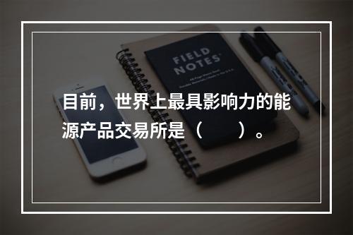 目前，世界上最具影响力的能源产品交易所是（　　）。