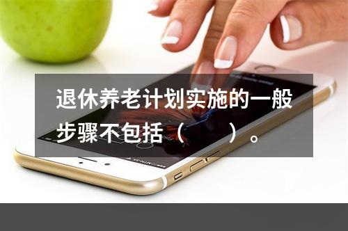 退休养老计划实施的一般步骤不包括（　　）。