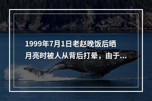 1999年7月1日老赵晚饭后晒月亮时被人从背后打晕，由于天黑