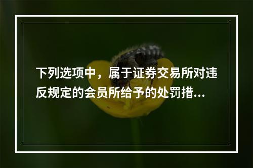 下列选项中，属于证券交易所对违反规定的会员所给予的处罚措施的