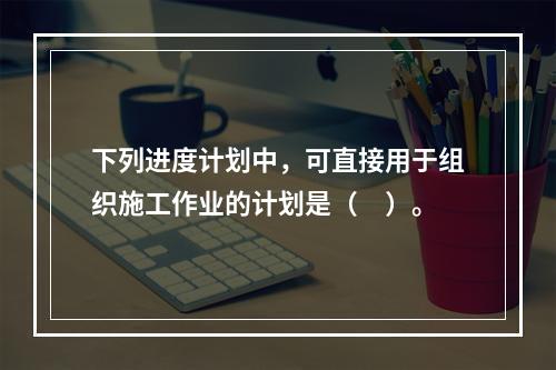 下列进度计划中，可直接用于组织施工作业的计划是（　）。