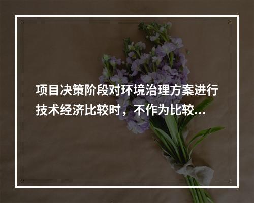 项目决策阶段对环境治理方案进行技术经济比较时，不作为比较内