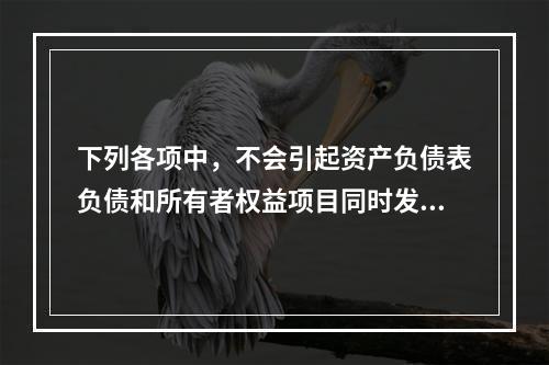 下列各项中，不会引起资产负债表负债和所有者权益项目同时发生变