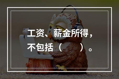 工资、薪金所得，不包括（　　）。