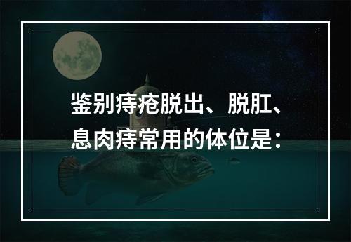 鉴别痔疮脱出、脱肛、息肉痔常用的体位是：