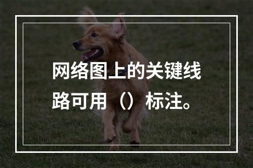 网络图上的关键线路可用（）标注。