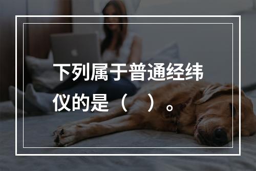 下列属于普通经纬仪的是（　）。