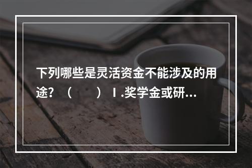 下列哪些是灵活资金不能涉及的用途？（　　）Ⅰ.奖学金或研究奖