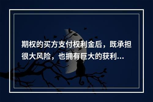 期权的买方支付权利金后，既承担很大风险，也拥有巨大的获利潜力