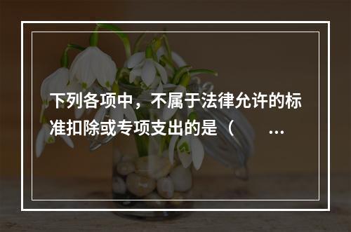 下列各项中，不属于法律允许的标准扣除或专项支出的是（　　）。