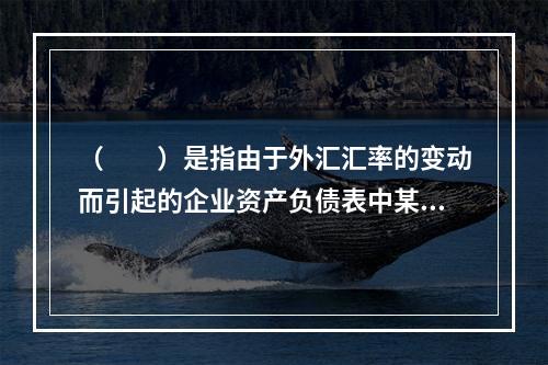 （  ）是指由于外汇汇率的变动而引起的企业资产负债表中某些外