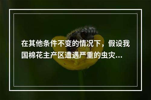 在其他条件不变的情况下，假设我国棉花主产区遭遇严重的虫灾，则