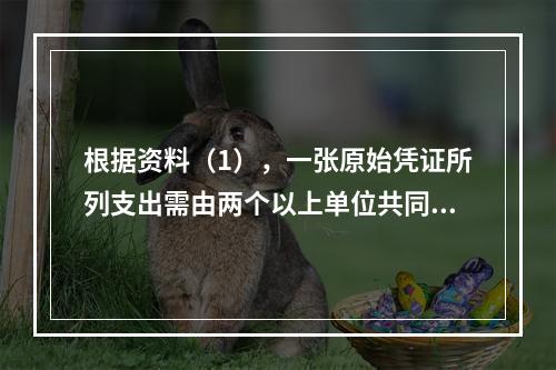 根据资料（1），一张原始凭证所列支出需由两个以上单位共同负担