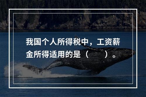 我国个人所得税中，工资薪金所得适用的是（　　）。