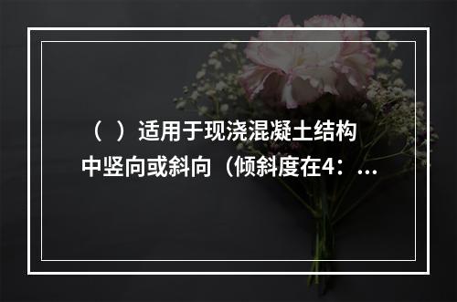 （   ）适用于现浇混凝土结构中竖向或斜向（倾斜度在4：1范